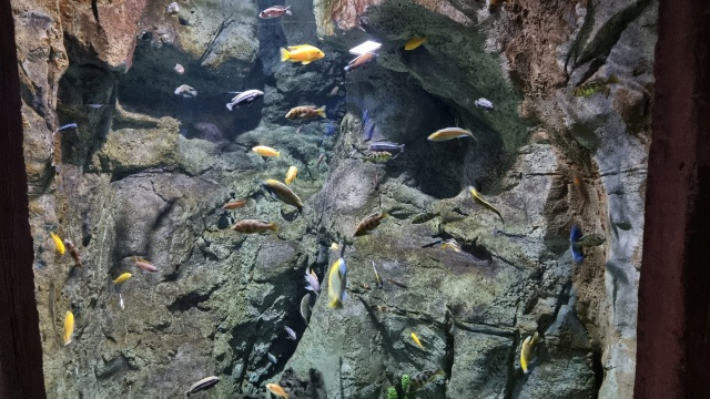 ../images/fotoalbum/lanzarote23/2023-09-18 10.18.50